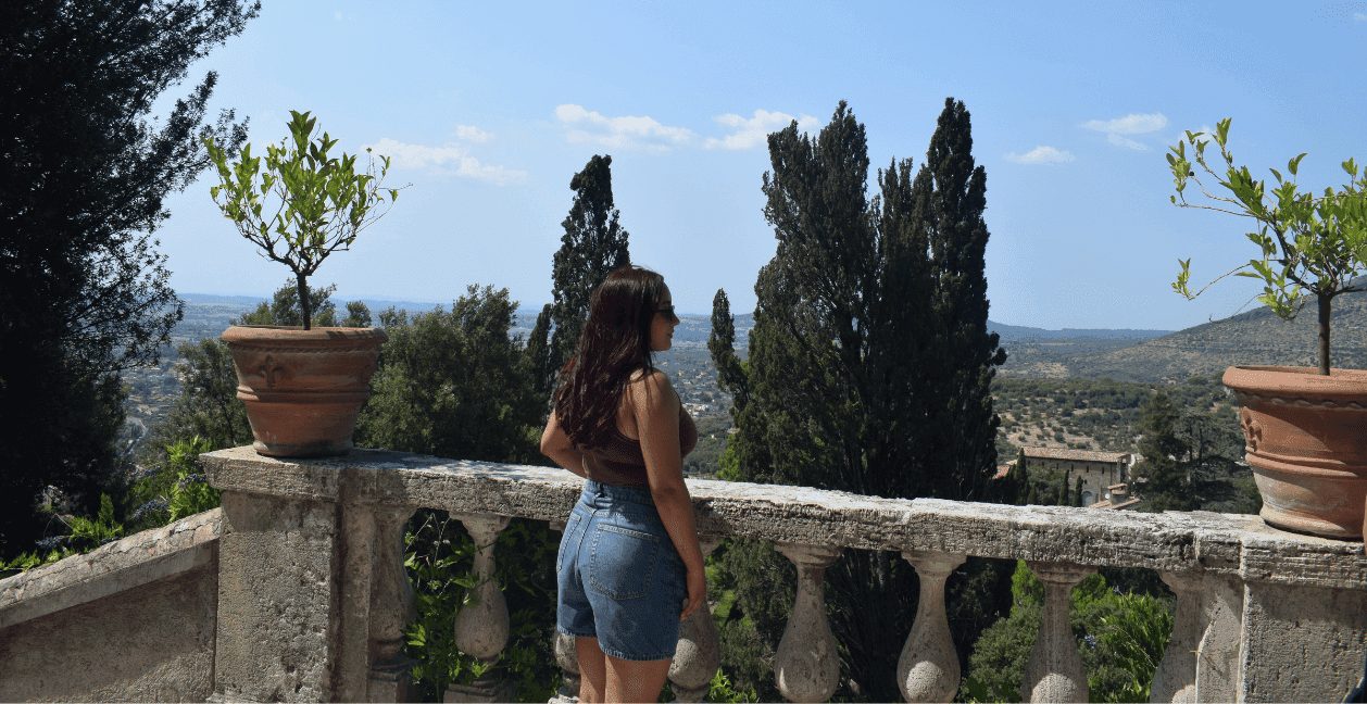 Proceso de regulación emocional